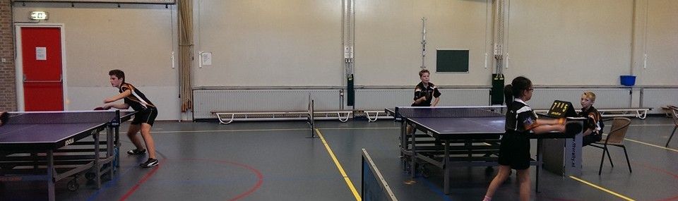 Wijk en Aalburg, Tafeltennis